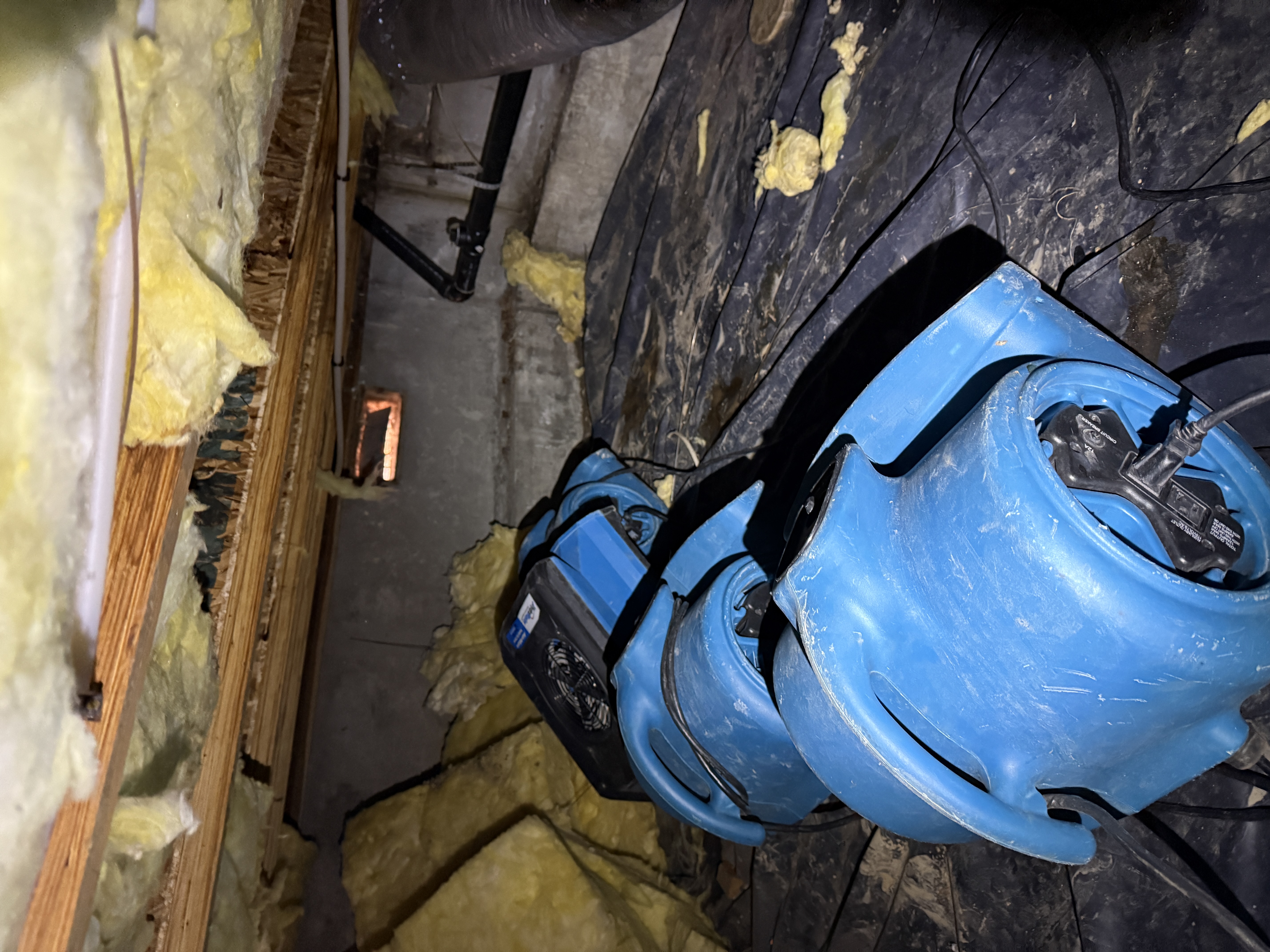Inside a Treasure Valley crawlspace: vapor barrier over the soil, joists overhead, lit by a work light